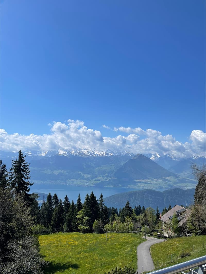 Moderne 4.5-Zimmer-Duplex-Wohnung mit Bergblick in Rigi Kaltbad (3)