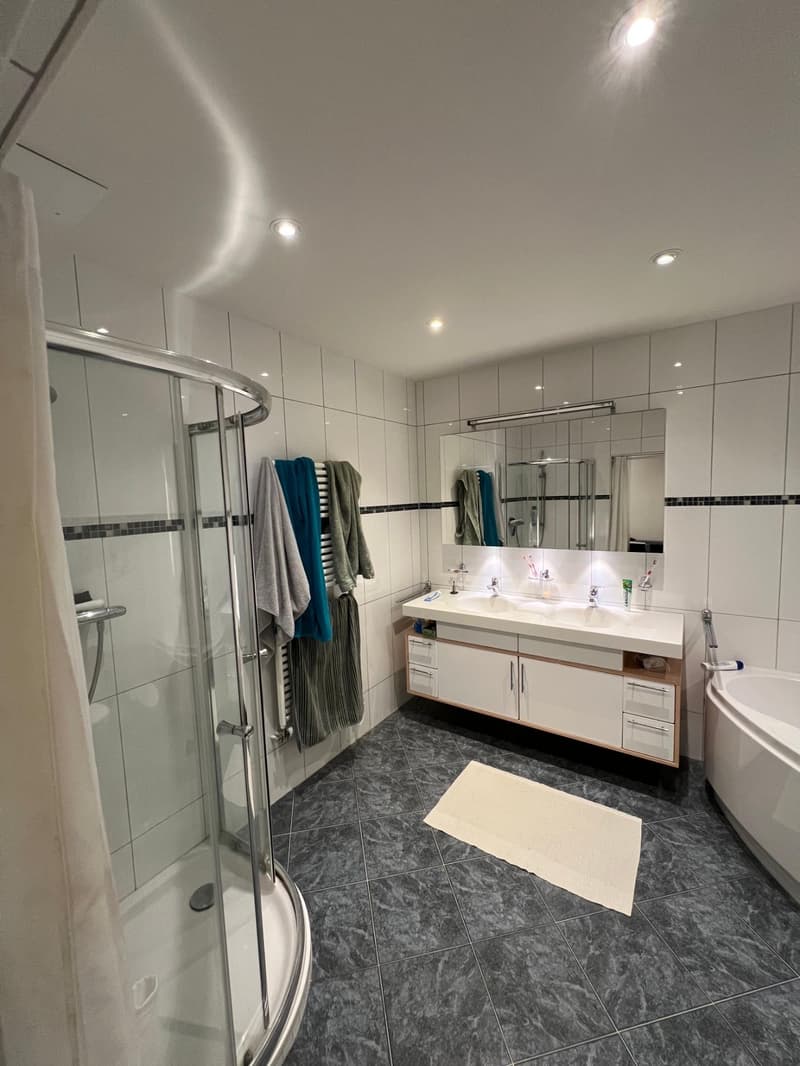 Grosszügiges Wohnen in Zürich Höngg Moderne 5.5 Zimmer Wohnung mit Garten (11)