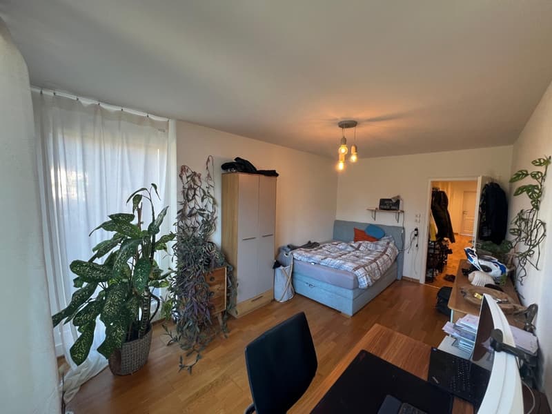 Grosszügiges Wohnen in Zürich Höngg Moderne 5.5 Zimmer Wohnung mit Garten (8)