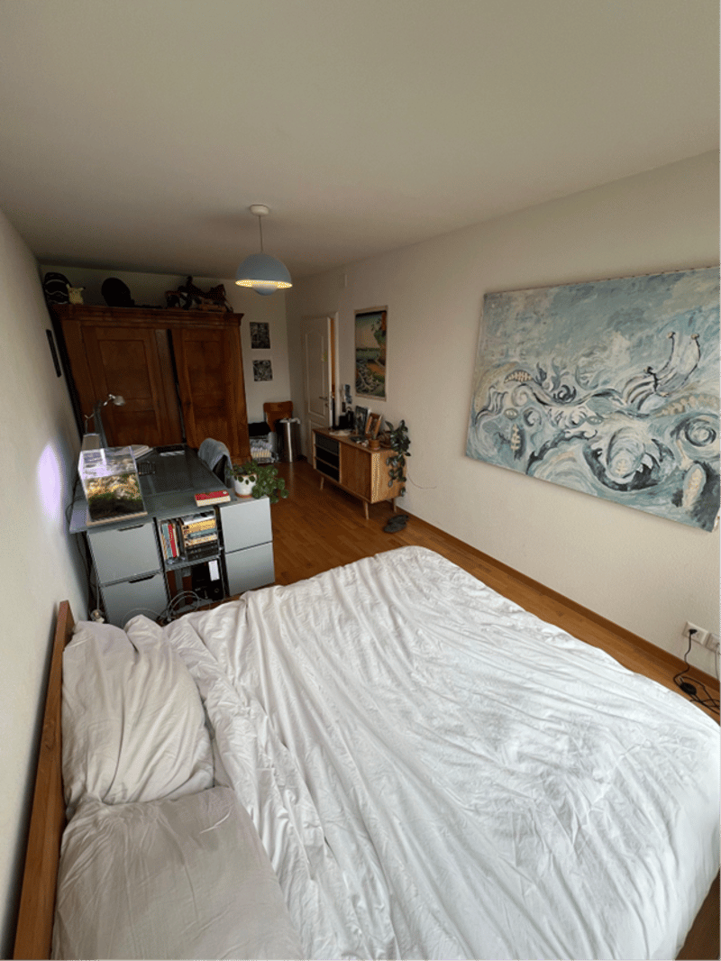 Grosszügiges Wohnen in Zürich Höngg Moderne 5.5 Zimmer Wohnung mit Garten (7)