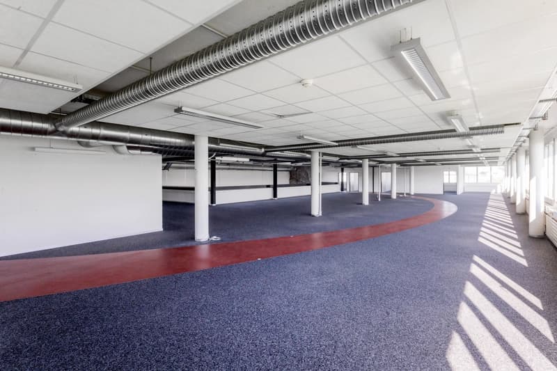 Grosszügige Bürofläche in Cham – 540 m² flexibel erweiterbar (4)