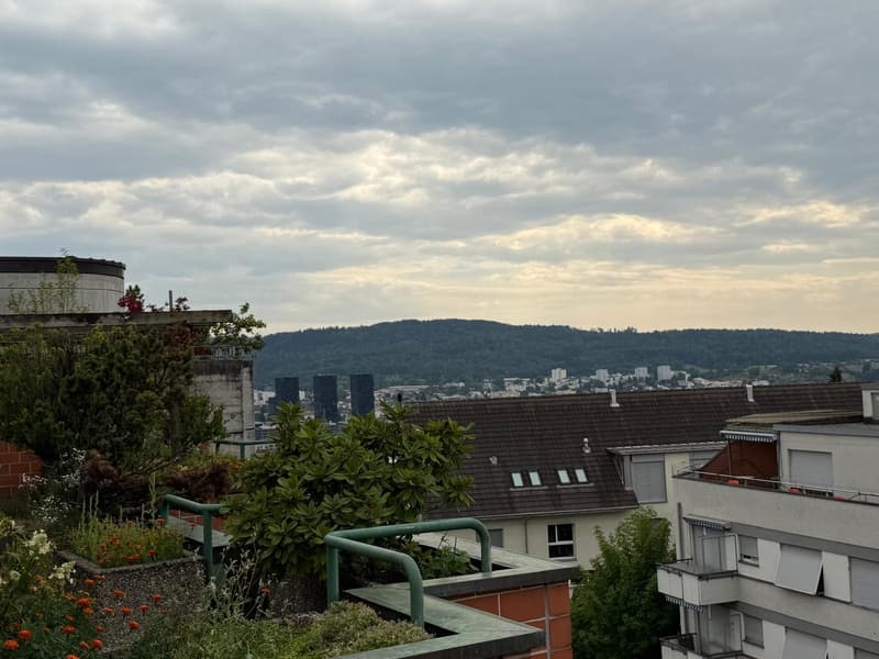 Exklusive Maisonettewohnung mit direktem Liftzugang und traumhafter Dachterrasse (14)