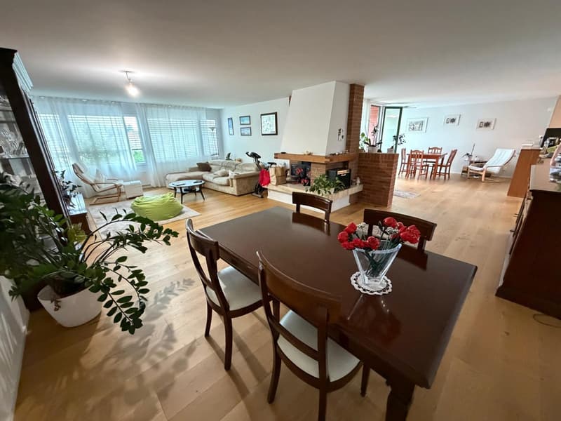Exklusive Maisonettewohnung mit direktem Liftzugang und traumhafter Dachterrasse (4)