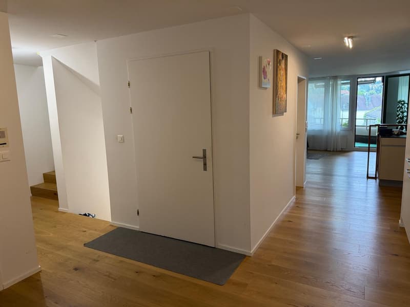 Exklusive Maisonettewohnung mit direktem Liftzugang und traumhafter Dachterrasse (8)