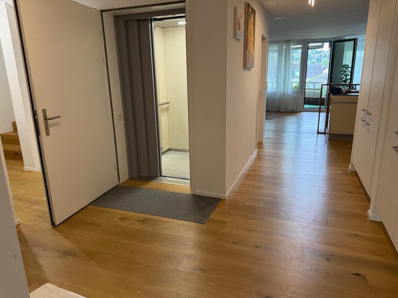 Exklusive Maisonettewohnung mit direktem Liftzugang und traumhafter Dachterrasse (7)