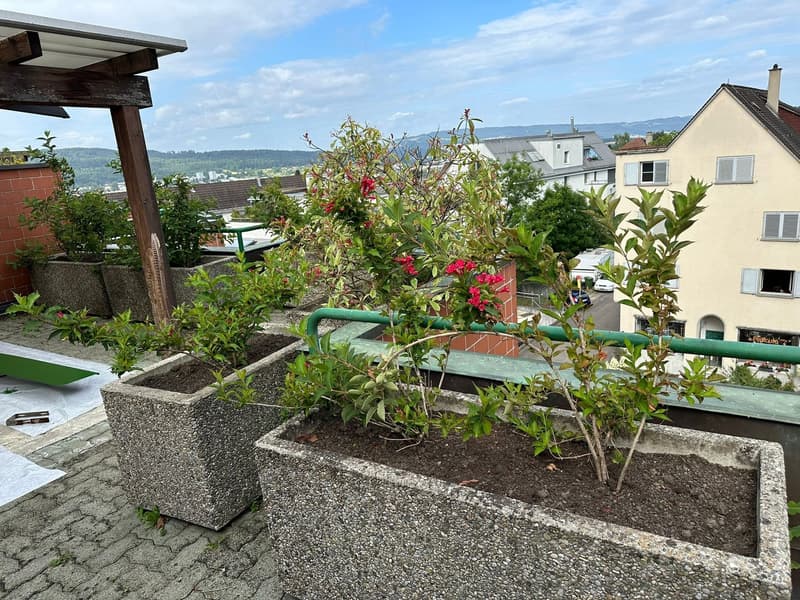 Exklusive Maisonettewohnung mit direktem Liftzugang und traumhafter Dachterrasse (17)