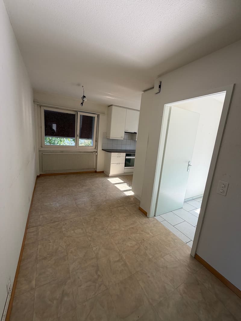 Familienfreundliches 5-Zimmer-Einfamilienhaus an ruhiger Lage in Muri AG (7)