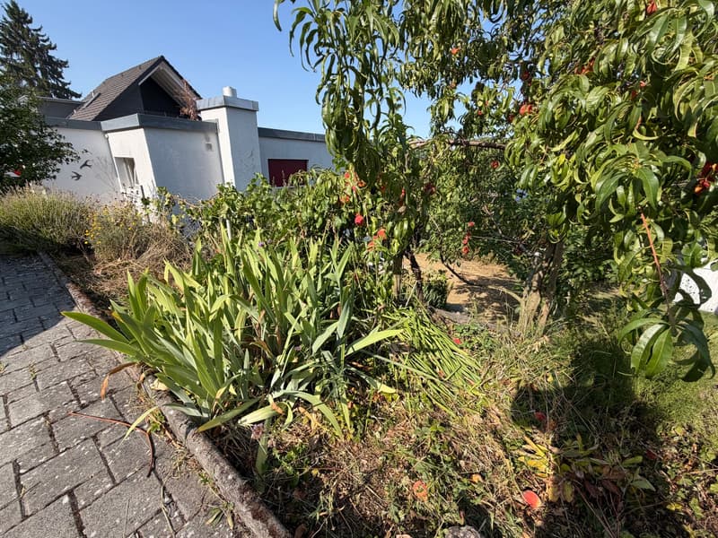 Familienfreundliches 5-Zimmer-Einfamilienhaus an ruhiger Lage in Muri AG (1)