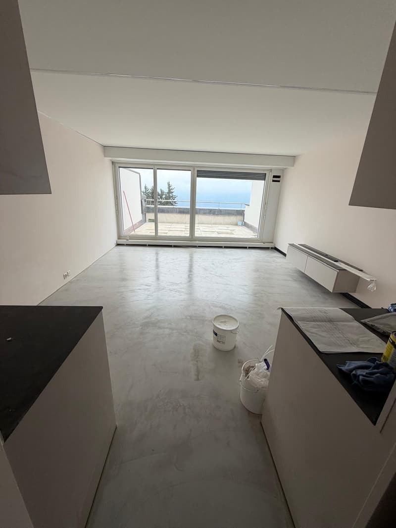 Moderne 4.5-Zimmer-Duplex-Wohnung mit Bergblick in Rigi Kaltbad (2)