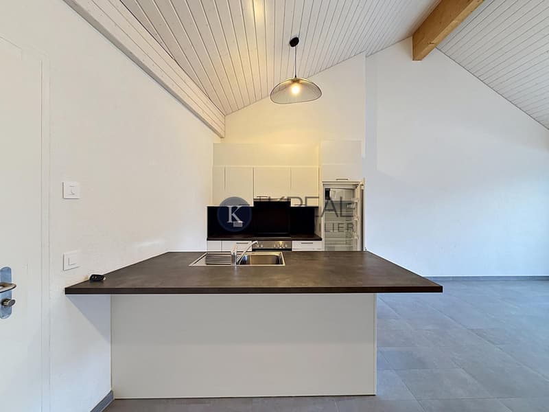 Bel appartement de 2.5 pièces au dernier étage d'une PPE récente (3)