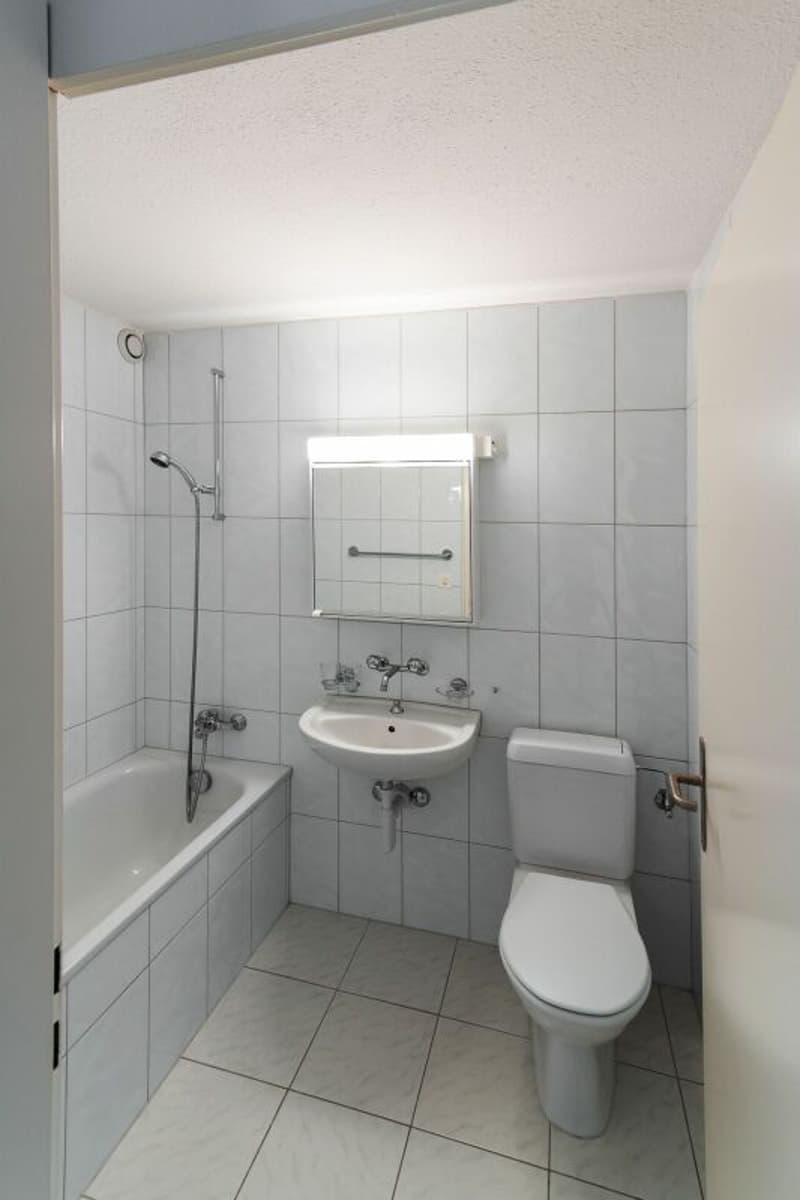 Appartamento luminoso 2.5 locali con attrezzature moderne (5)