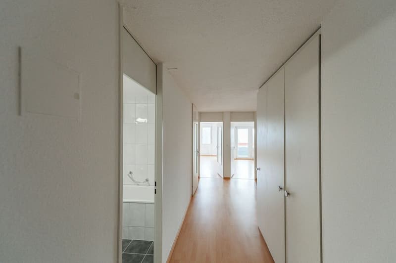 Appartamento luminoso 2.5 locali con attrezzature moderne (3)