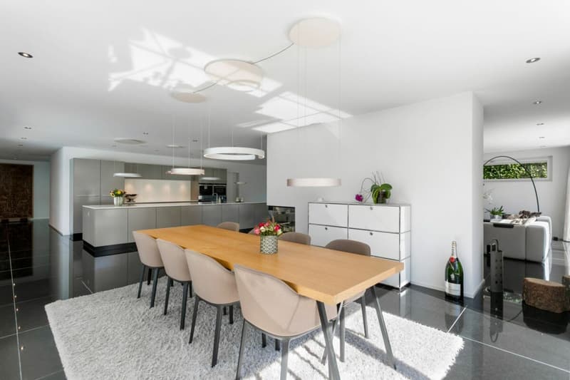 Villa di lusso moderna con grande garage sotterraneo (12)