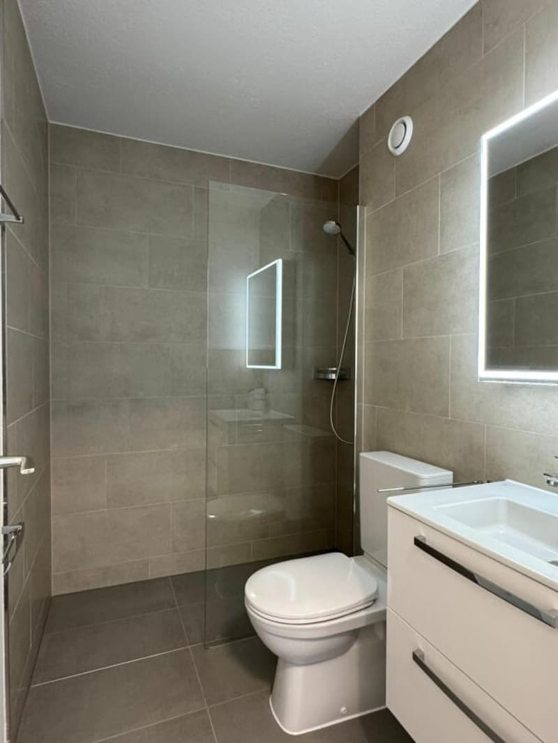 Appartement 1 pièce lumineux au centre-ville à louer (5)