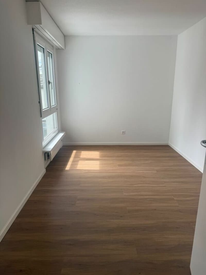 Sanierte 3-Zimmerwohnung zu vermieten (3)