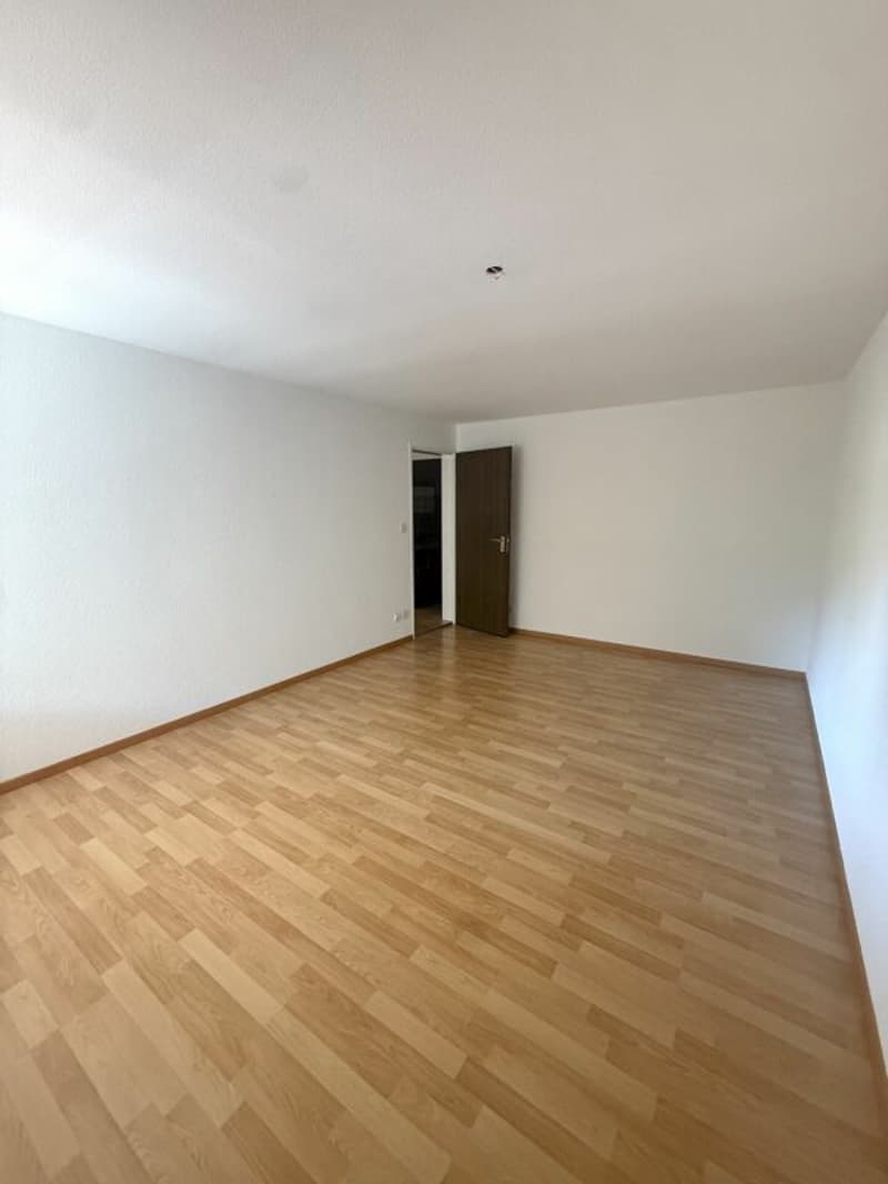 Grosszügige 5.5-Zimmerwohnung an zentraler Lage (5)