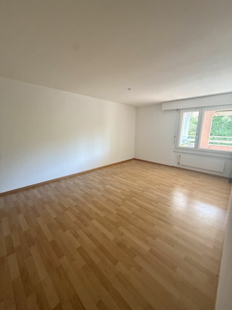 Grosszügige 5.5-Zimmerwohnung an zentraler Lage (6)