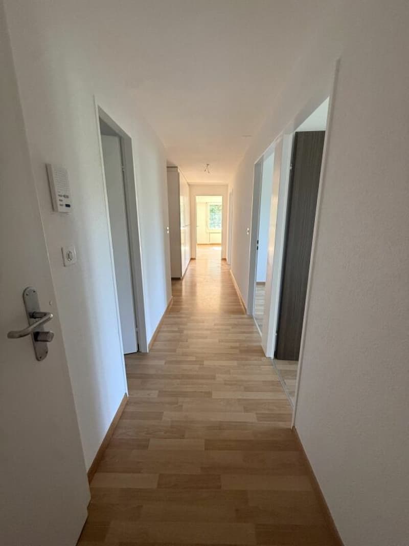 Grosszügige 5.5-Zimmerwohnung an zentraler Lage (10)
