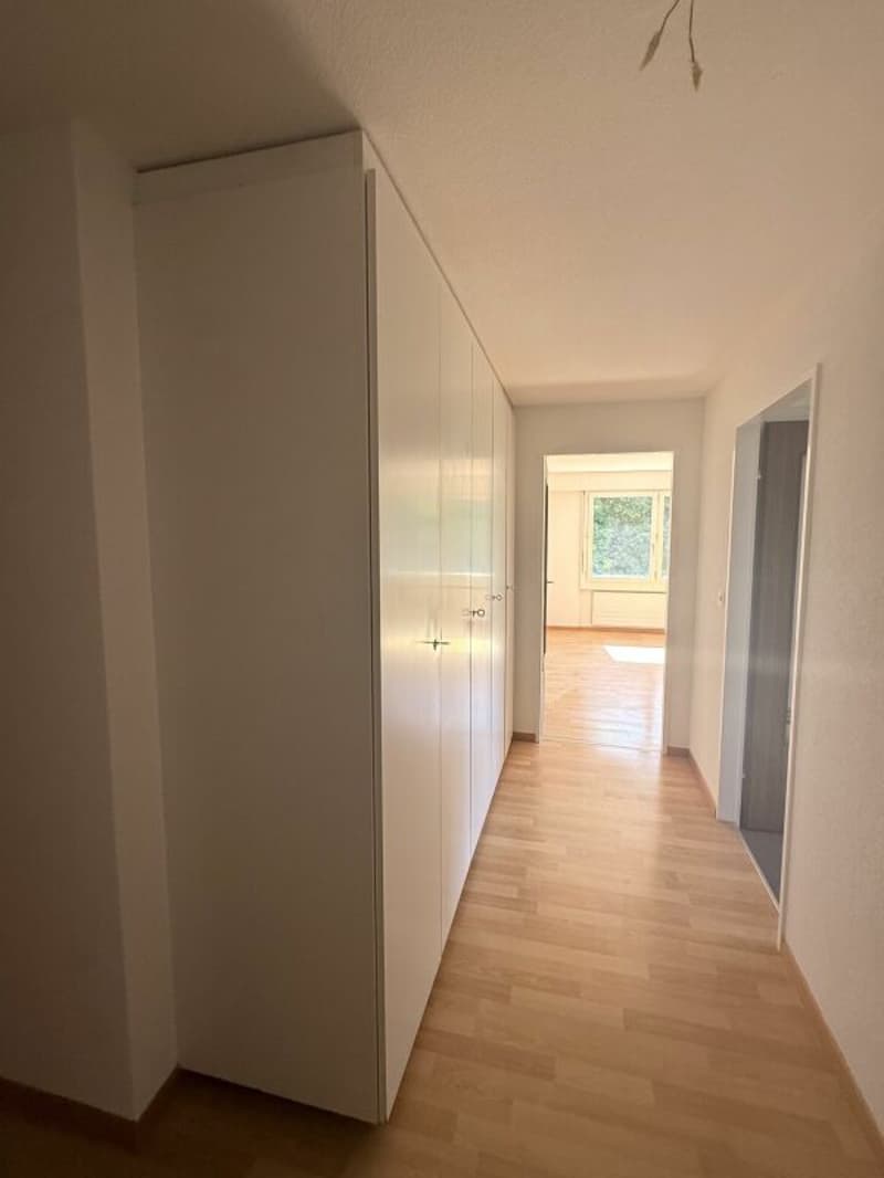 Grosszügige 5.5-Zimmerwohnung an zentraler Lage (9)