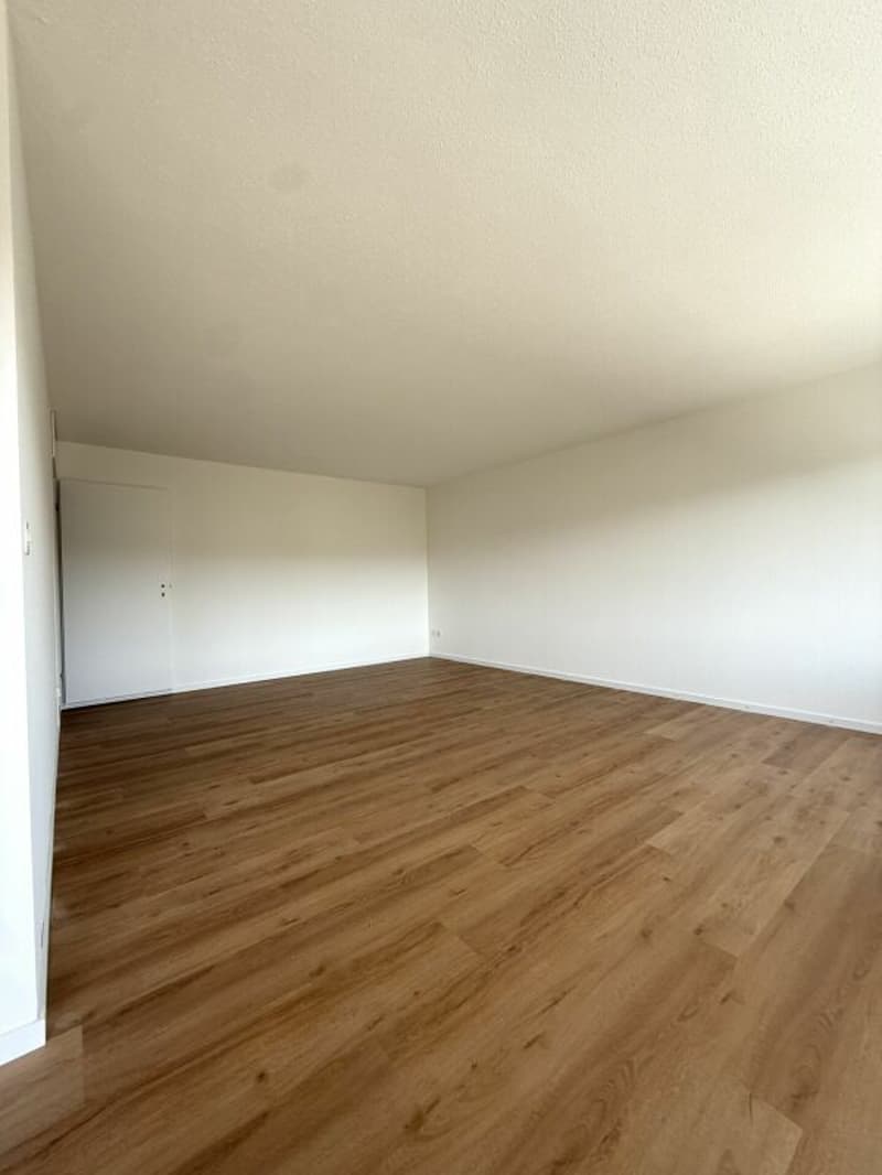 Teilrenovierte 4.5-Zimmerwohnung mit attraktivem Grundriss (2)