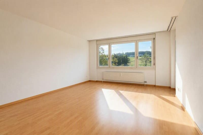 2.5-Zimmer-Wohnung mit attraktivem Grundriss Kopie (5)