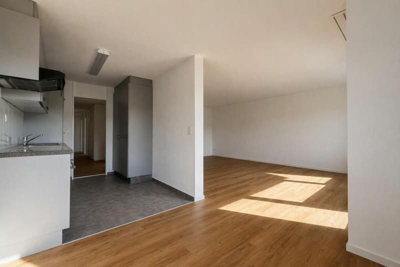 Teilrenovierte 4.5-Zimmerwohnung mit attraktivem Grundriss (1)