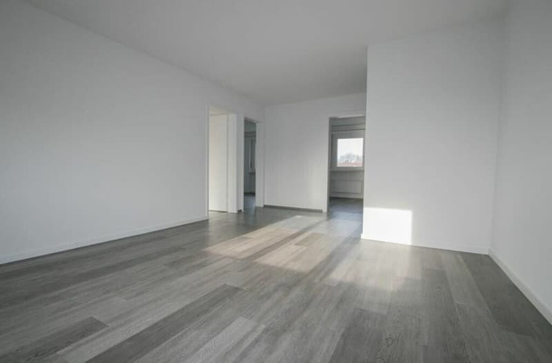 Moderne Wohnung in unmittelbarer Nähe zum See (2)