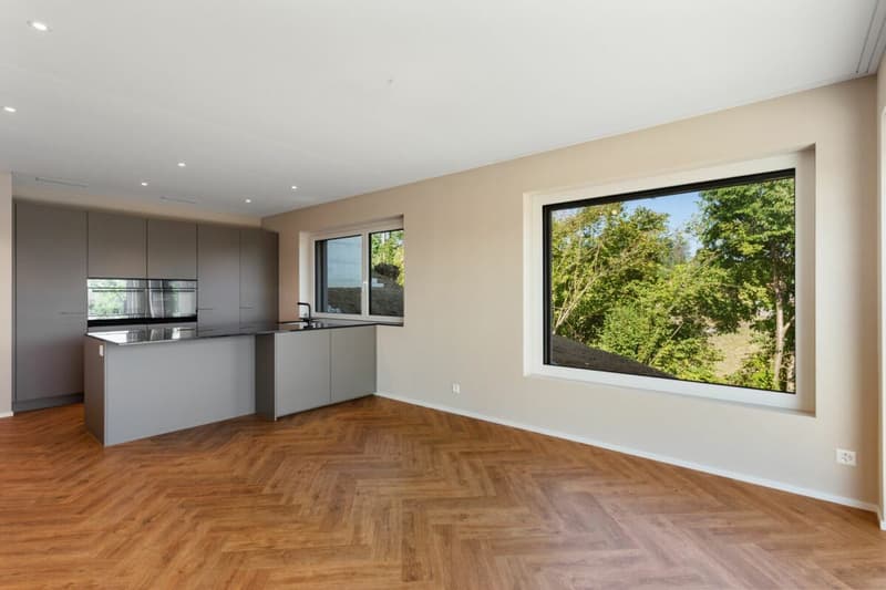 5.5-Zi.-Erstbezug mit Säntisblick - ab CHF 1.485 Mio. (4)