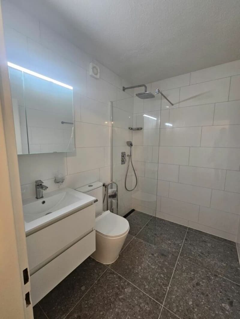 Helle 2 Zi.-Wohnung im Zentrum zu vermieten (6)