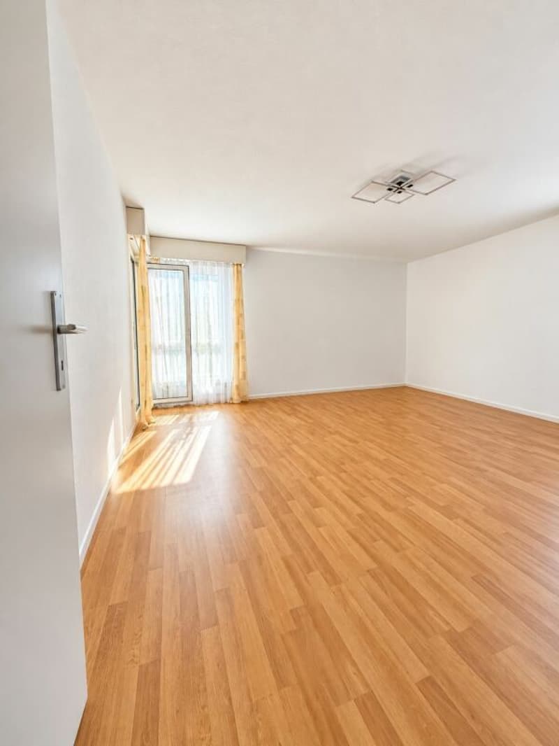 Sanierte 3-Zimmerwohnung zu vermieten (3)