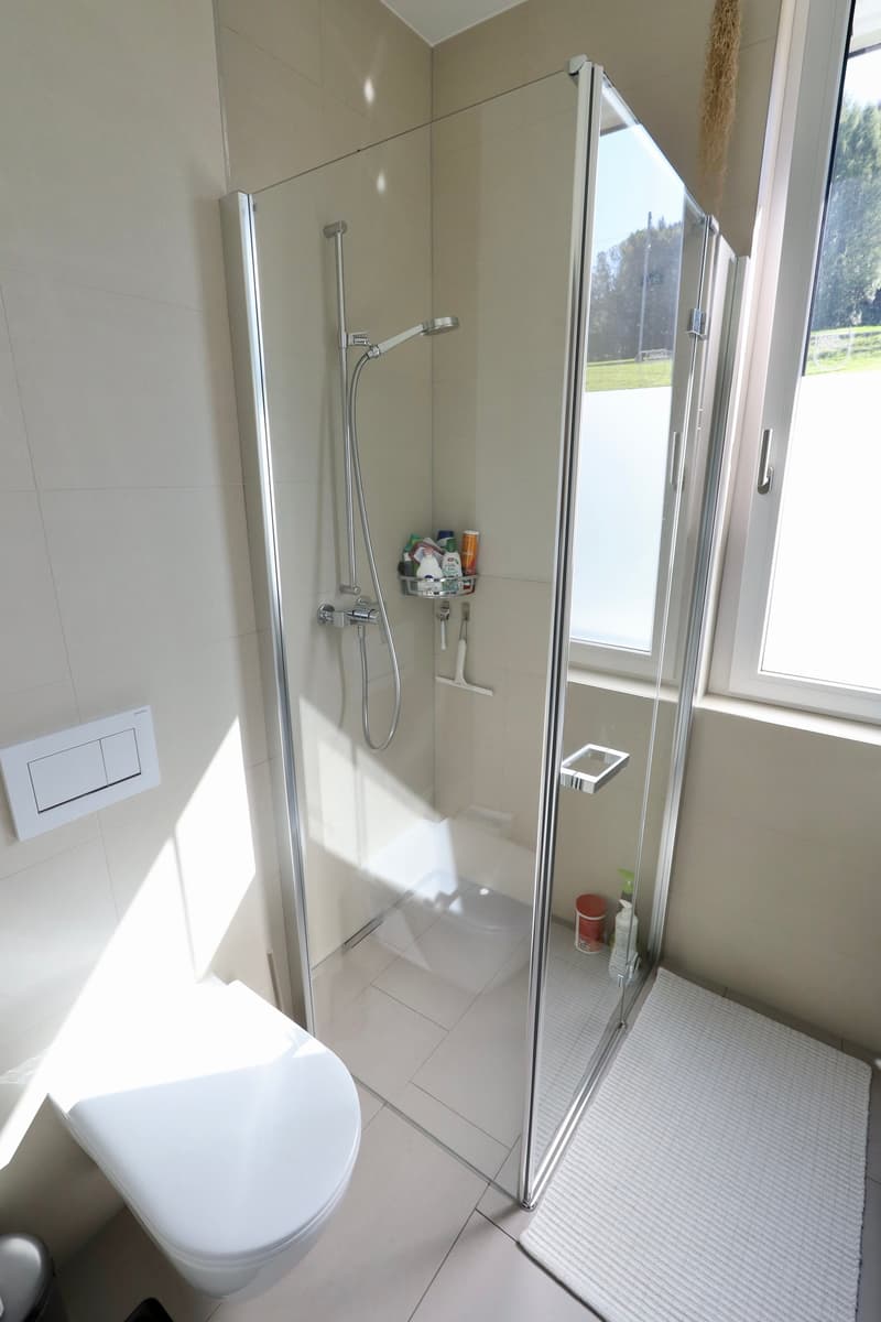 Nasszelle mit Dusche/ Toilette