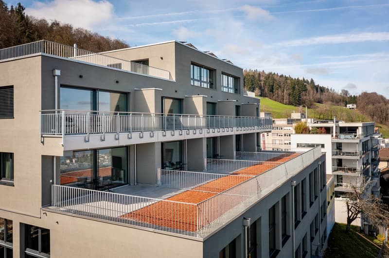 Neubau-Apartments mit Designer Möblierung und voller Seesicht in Horgen/Zürich/Zug/Pfäffikon. (10)