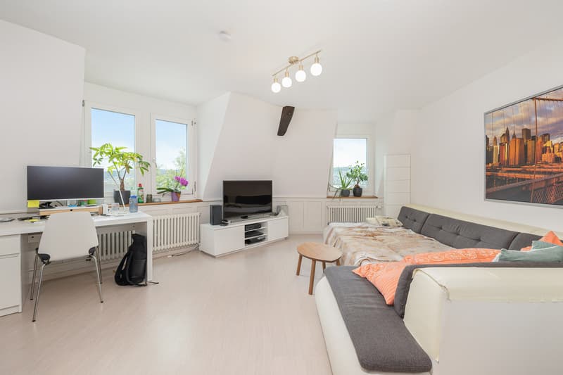 Eine Investition mit Perspektive in Thalwil (4)