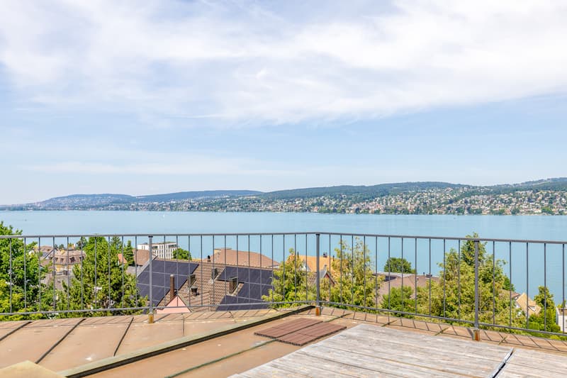 Eine Investition mit Perspektive in Thalwil (10)