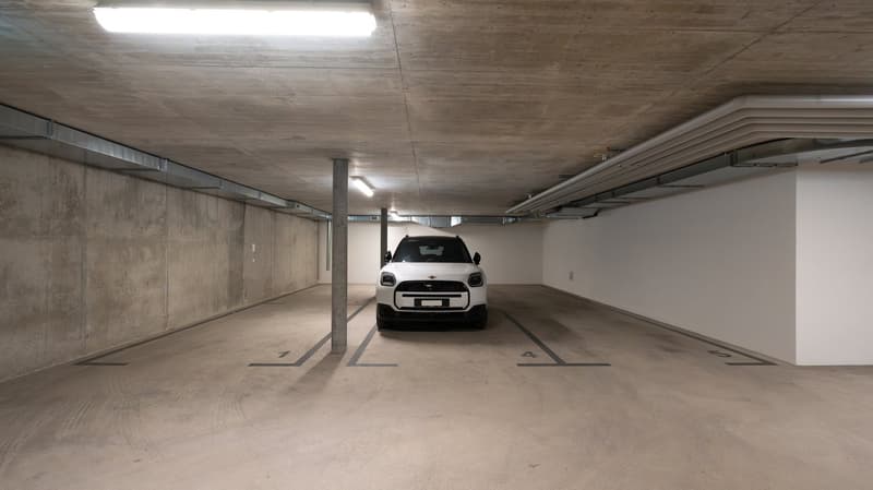 4.5 Locali con Giardino Privato | Residenza Sorgente, Comano (32)