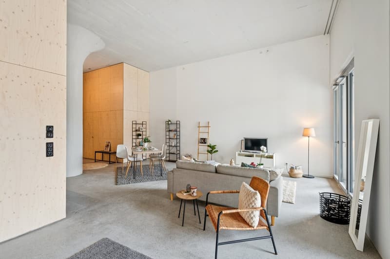 Magnifique loft neuf (6)