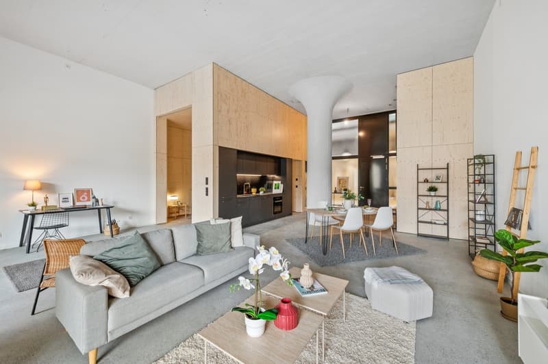 Magnifique loft neuf (4)