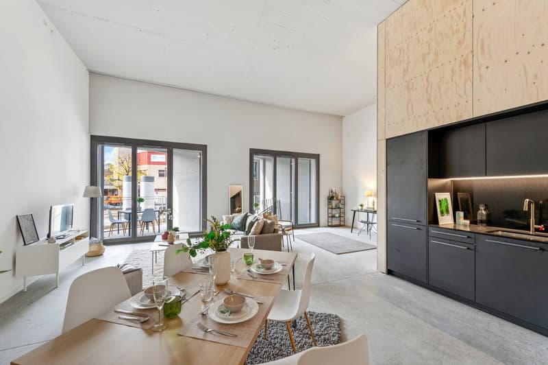 Magnifique loft neuf (3)