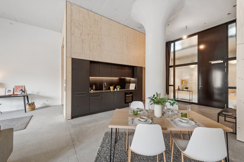 Magnifique loft neuf (2)