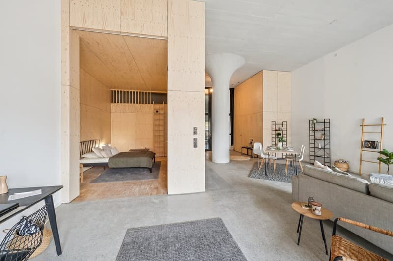 Magnifique loft neuf (8)