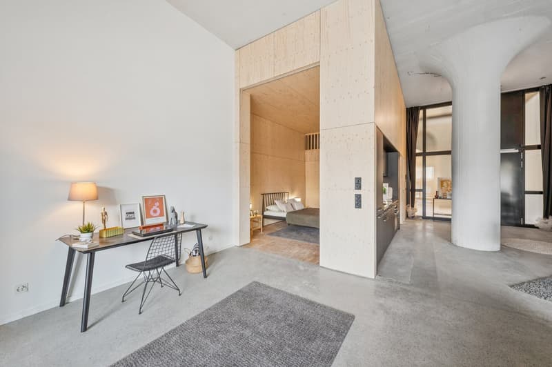Magnifique loft neuf (7)