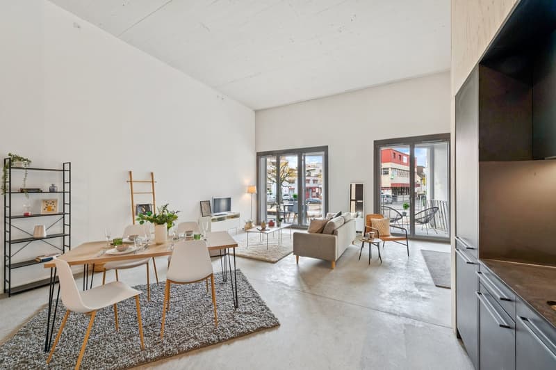 Magnifique loft neuf (5)
