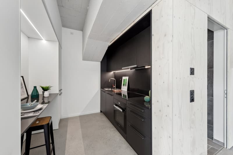 Appartement 2.5 pièces avec un atelier en extra ! (3)