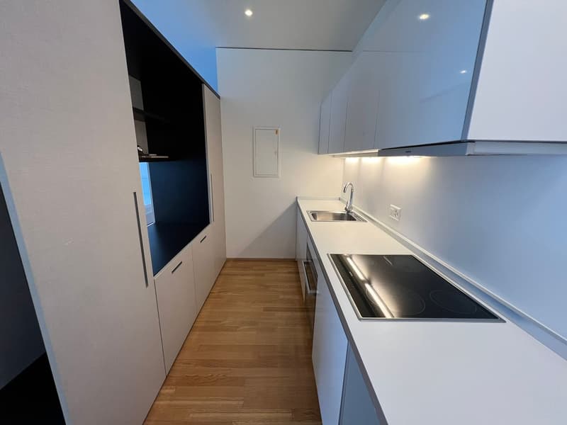 Elegante monolocale a Lugano (4)
