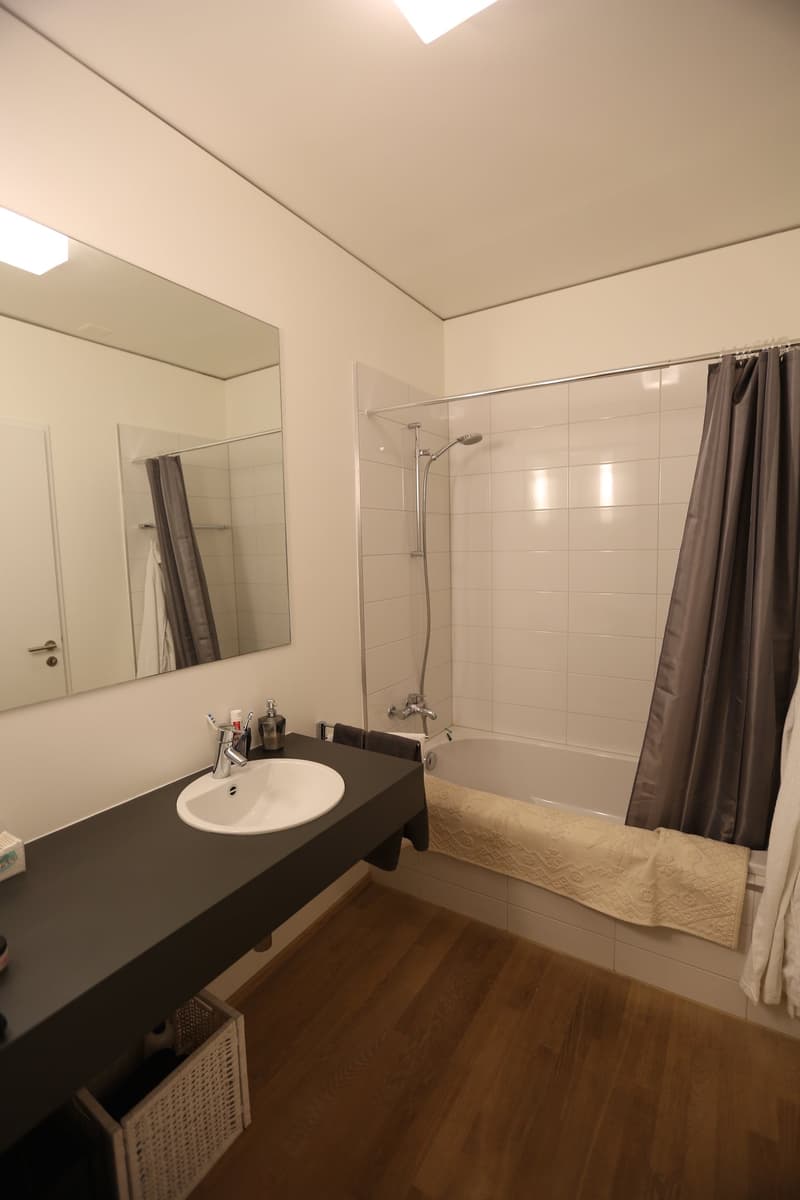 Ampio Loft arredato a Lugano, Molino Nuovo (7)
