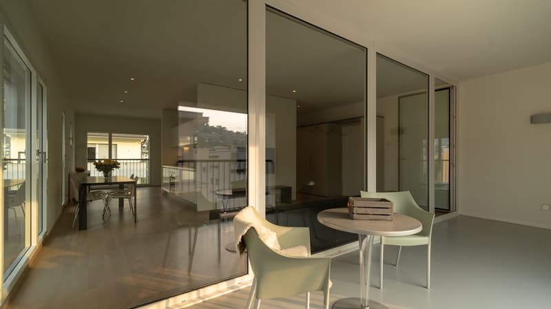 Ampio Loft arredato a Lugano, Molino Nuovo (13)