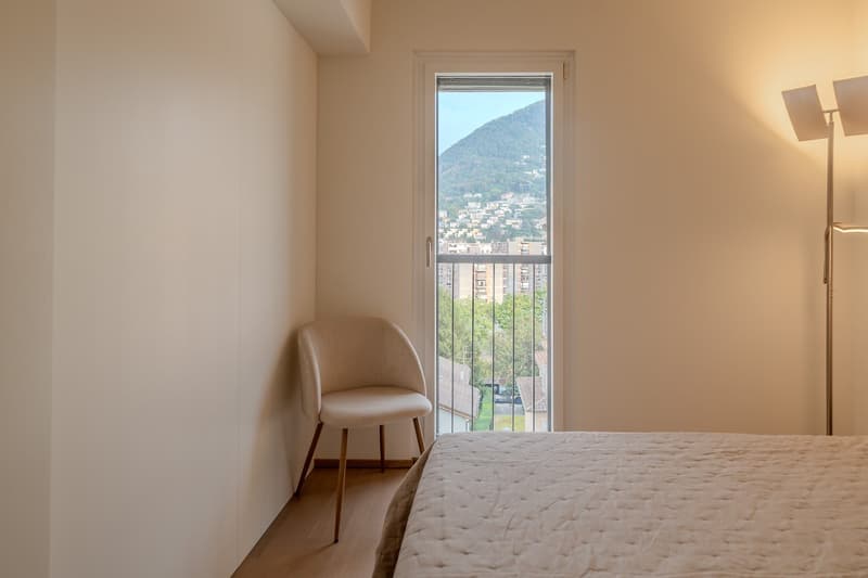 Ampio Loft arredato a Lugano, Molino Nuovo (9)