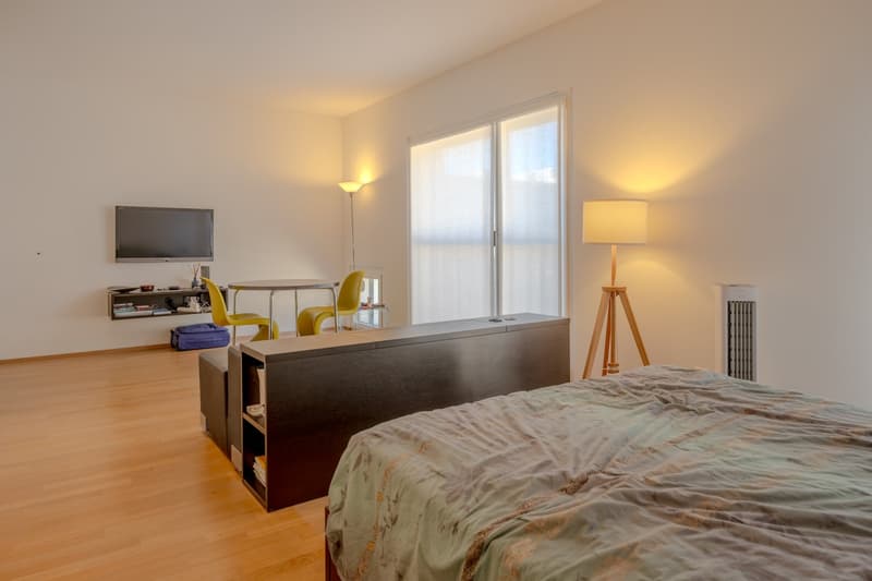 Ampio monolocale arredato a Lugano/Molino Nuovo (4)