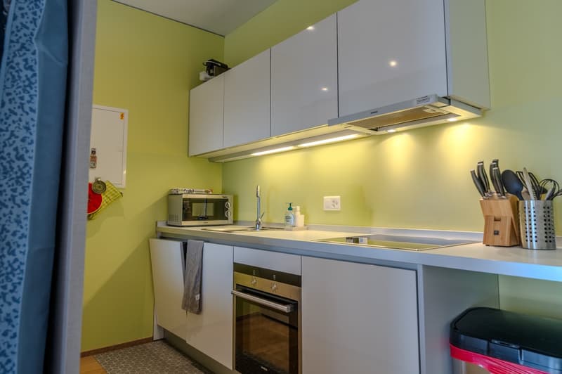 Ampio monolocale arredato a Lugano/Molino Nuovo (7)