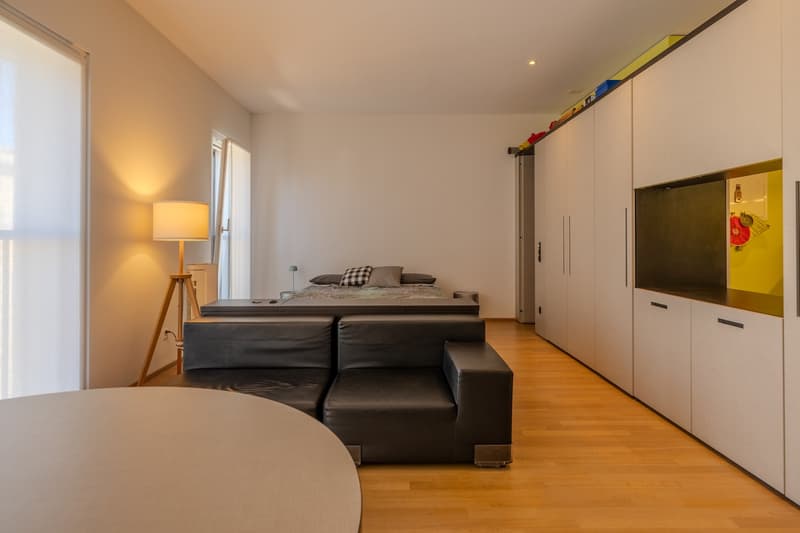 Ampio monolocale arredato a Lugano/Molino Nuovo (2)